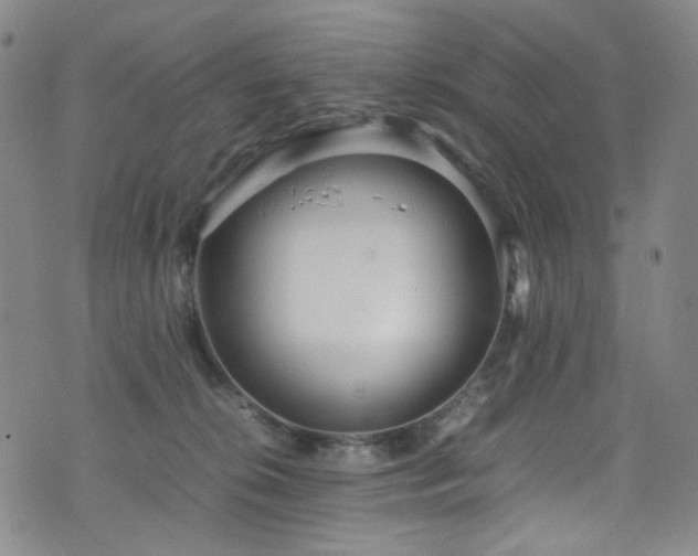 X0000072500276200607141137