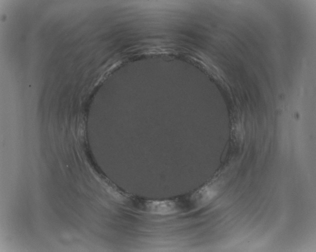 X0000072500277200607141137