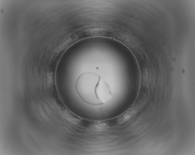 X0000072500278200607141137