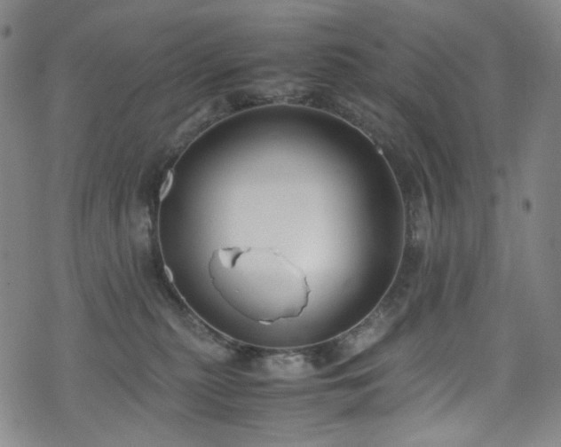 X0000072500279200607141137