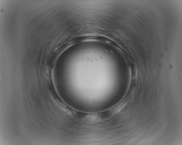 X0000072500280200607141137