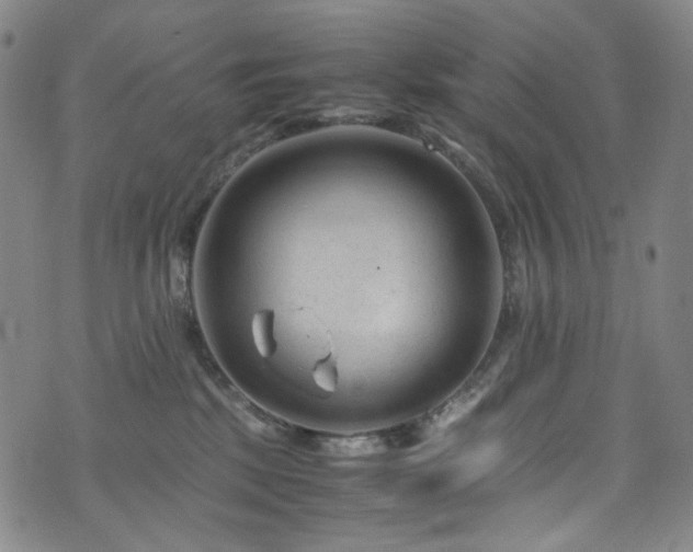 X0000072500281200607141137