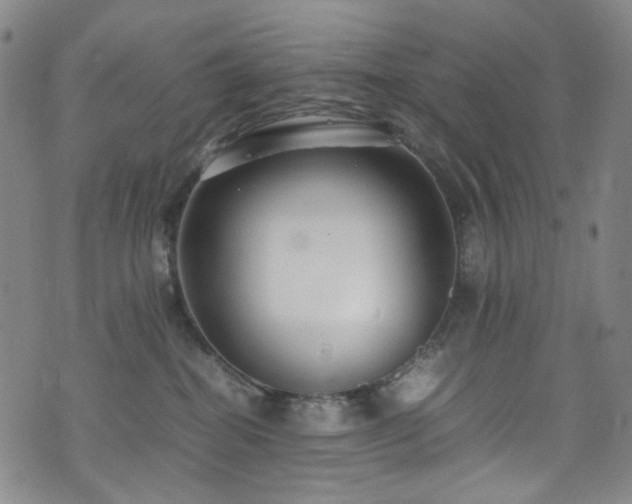 X0000072500282200607141137