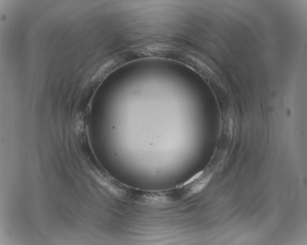 X0000072500284200607141137