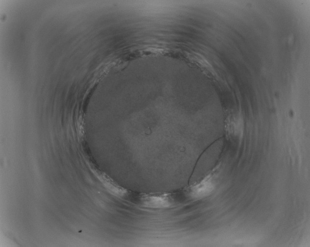 X0000072500285200607141137