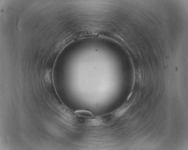 X0000072500286200607141137