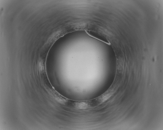 X0000072500287200607141137