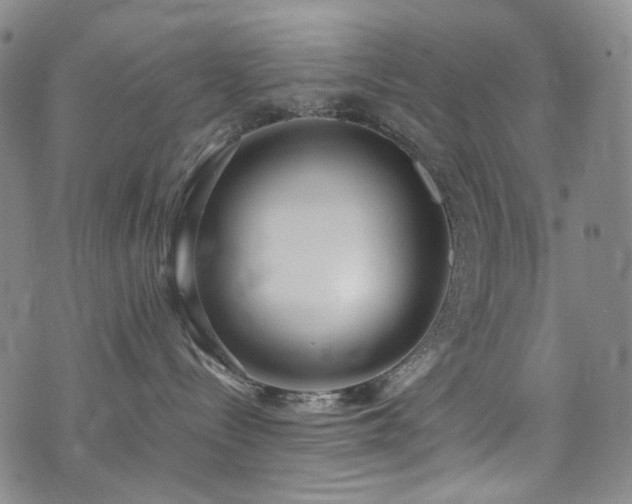 X0000072500288200607141137