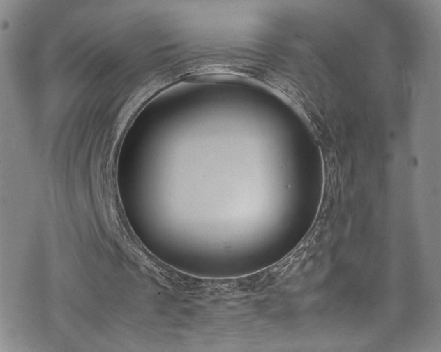 X0000072500289200607141136