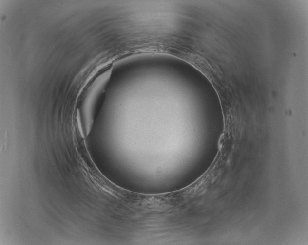 X0000072500290200607141136