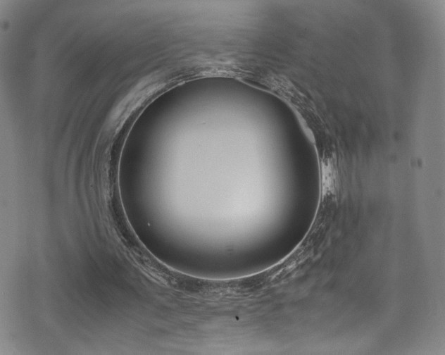 X0000072500291200607141136