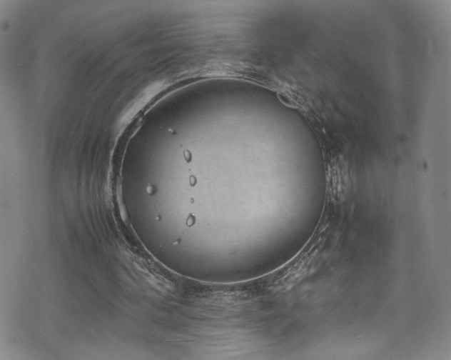 X0000072500292200607141136