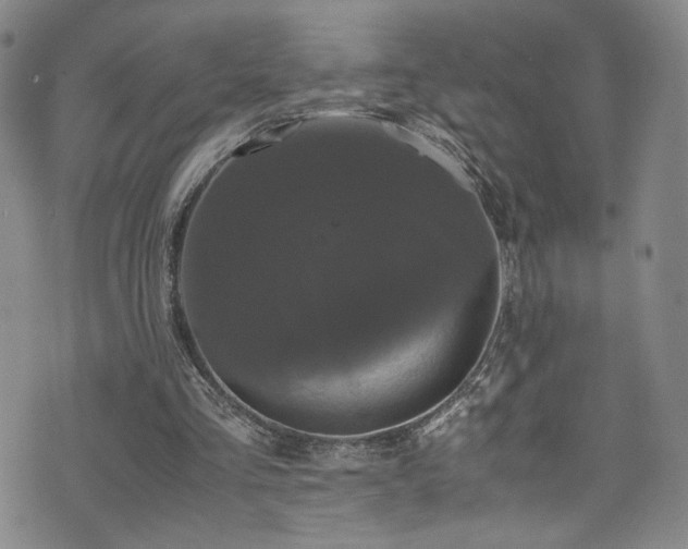 X0000072500293200607141136