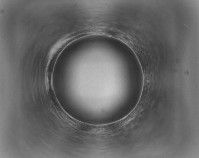 X0000072500294200607141136