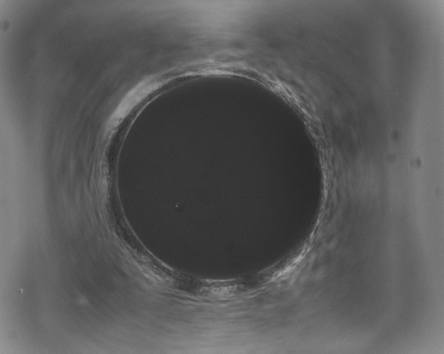 X0000072500295200607141136