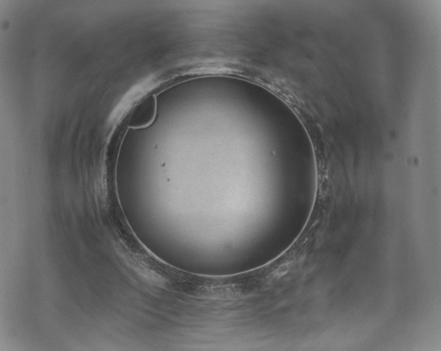 X0000072500296200607141136