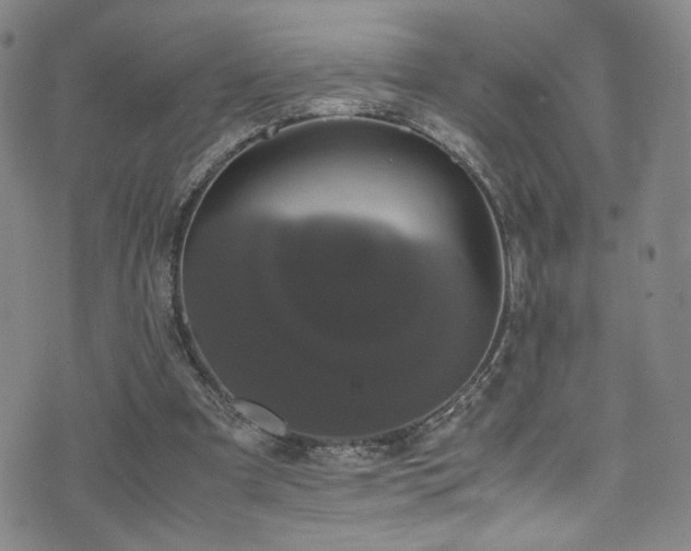 X0000072500297200607141136