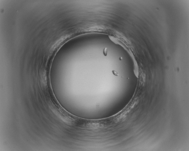 X0000072500298200607141136