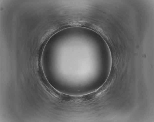 X0000072500299200607141136