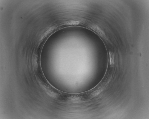 X0000072500300200607141136