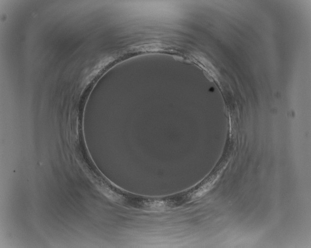 X0000072500301200607141136