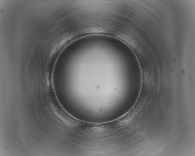 X0000072500302200607141136