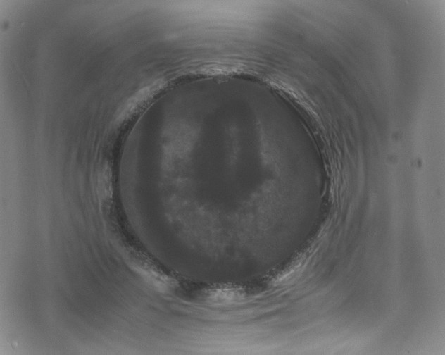 X0000072500303200607141136