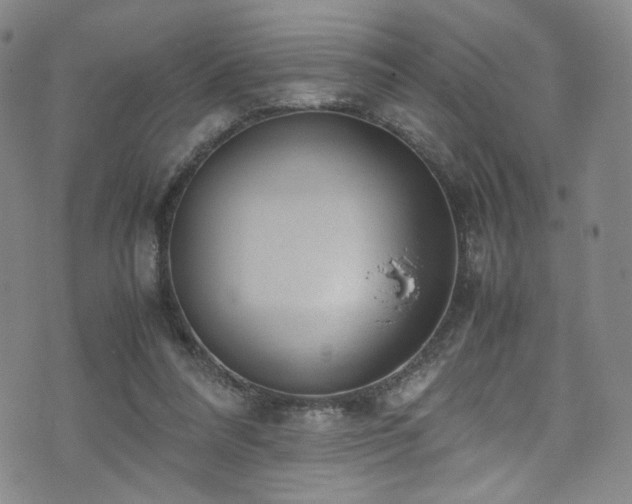 X0000072500304200607141136