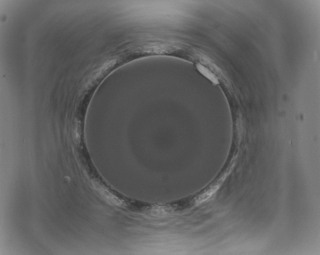 X0000072500305200607141136