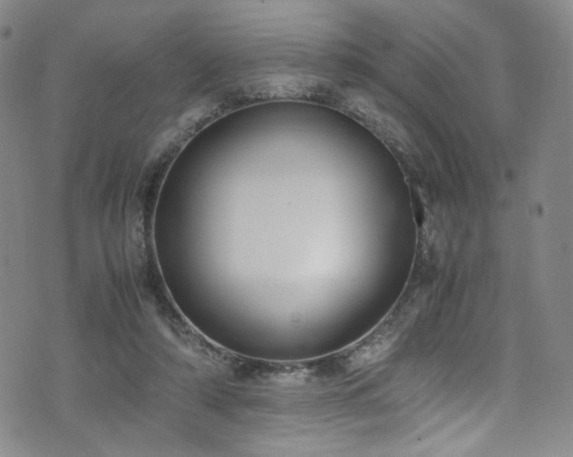 X0000072500306200607141136