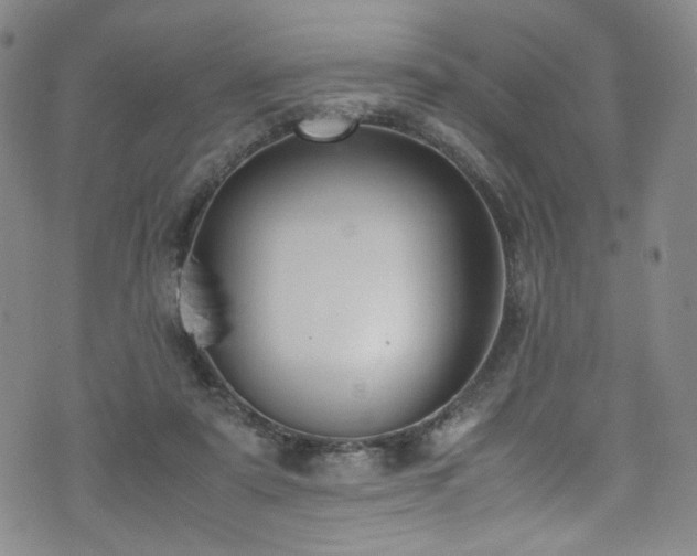 X0000072500307200607141136