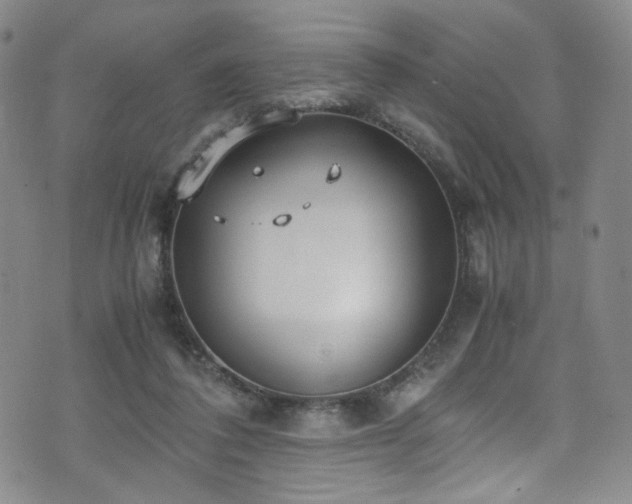 X0000072500308200607141136