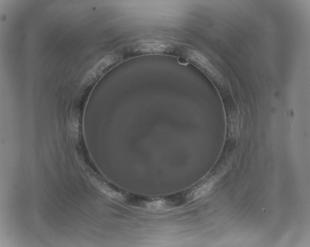 X0000072500309200607141136