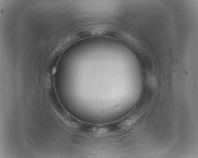 X0000072500311200607141136