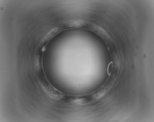 X0000072500312200607141136