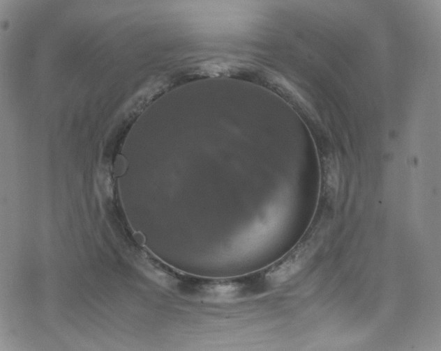 X0000072500313200607141136