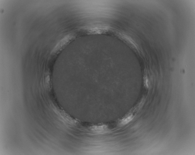 X0000072500314200607141136