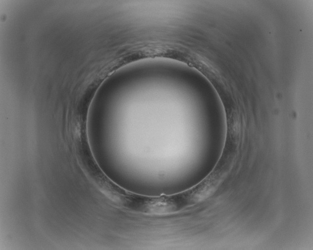 X0000072500315200607141136