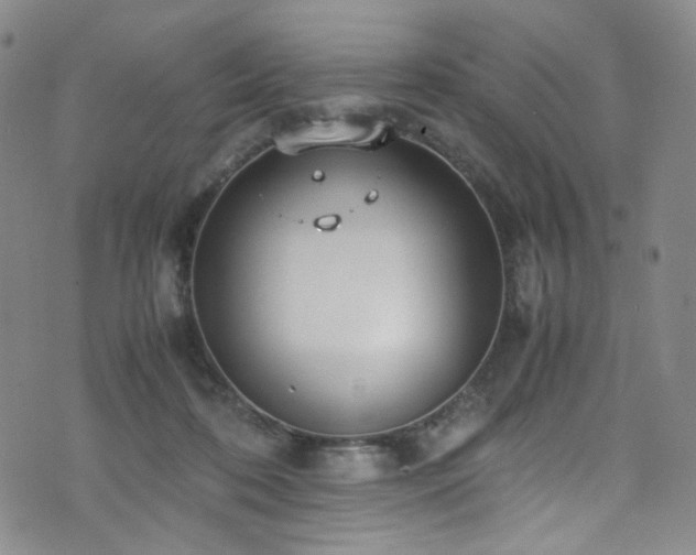 X0000072500316200607141136