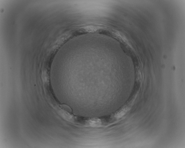 X0000072500317200607141136