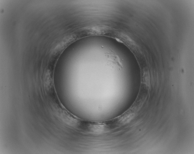 X0000072500318200607141136