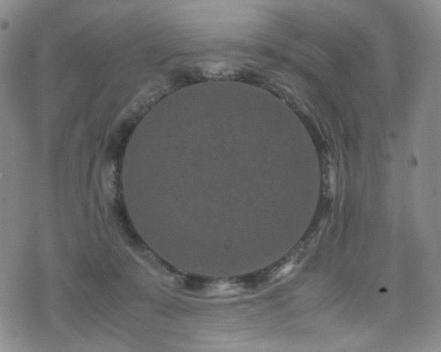 X0000072500319200607141136