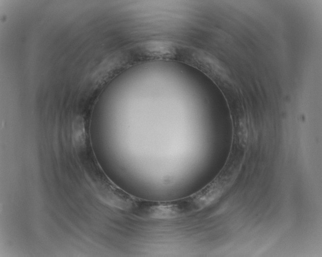 X0000072500320200607141136