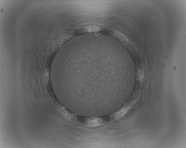 X0000072500321200607141136