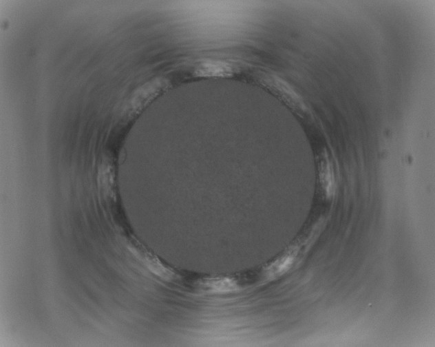 X0000072500322200607141136