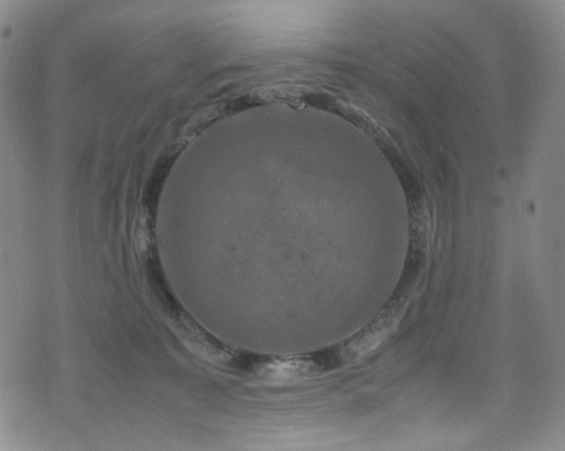 X0000072500323200607141136