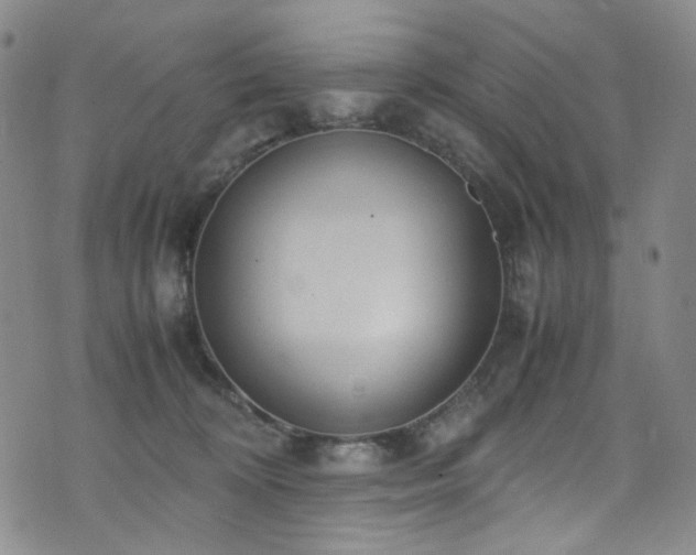 X0000072500324200607141136