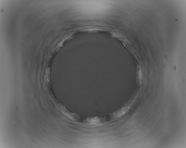 X0000072500325200607141136