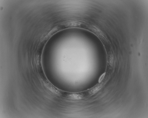 X0000072500326200607141136