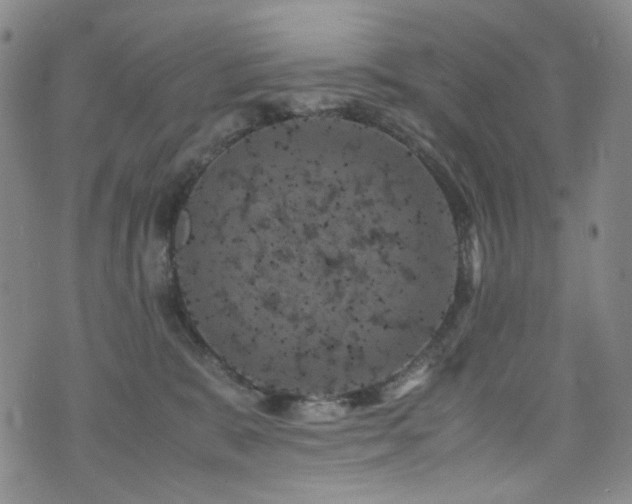 X0000072500327200607141136